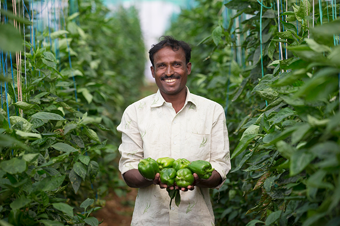 Indian produce farmer