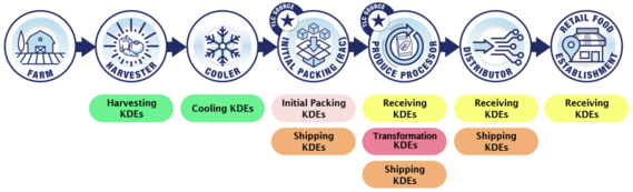 Supply chain example of KDEs for fresh cucumbers.