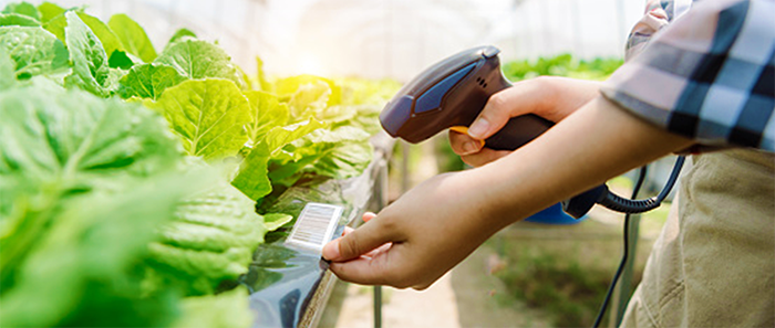 Tracking produce on the farm