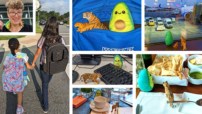 collage of the adventures of the toys avocado and the tigers