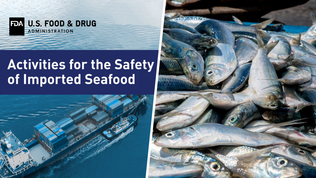 Ensure that Imported Seafood Is Safe_FINAL_1600x900.png