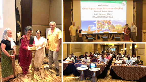 Scenes from INO Good Aquaculture Practices training