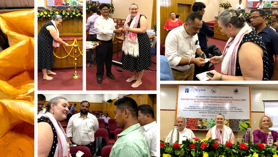 Pavek at training inauguration