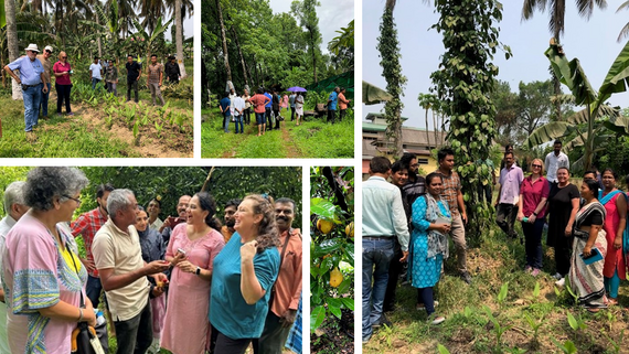 FDA good practices training and spices farm visit