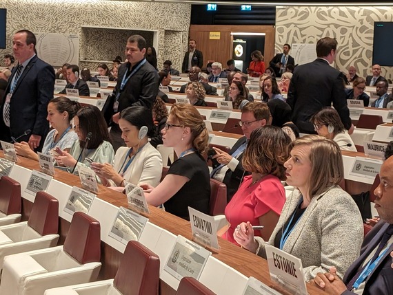 Participants at 77th WHA