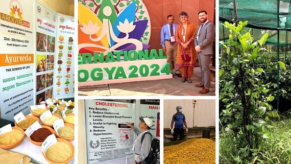 India Office Ayurvedic and botanical activities