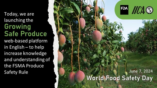 IICA Growing Safe Produce web platform