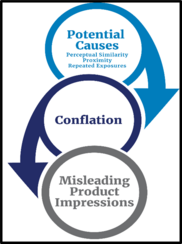 Spotlight Issue II 2024