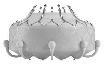 Edwards EVOQUE Tricuspid Valve Replacement System