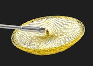 Occlutech ASD Occluder and Occlutech Pistol Pusher