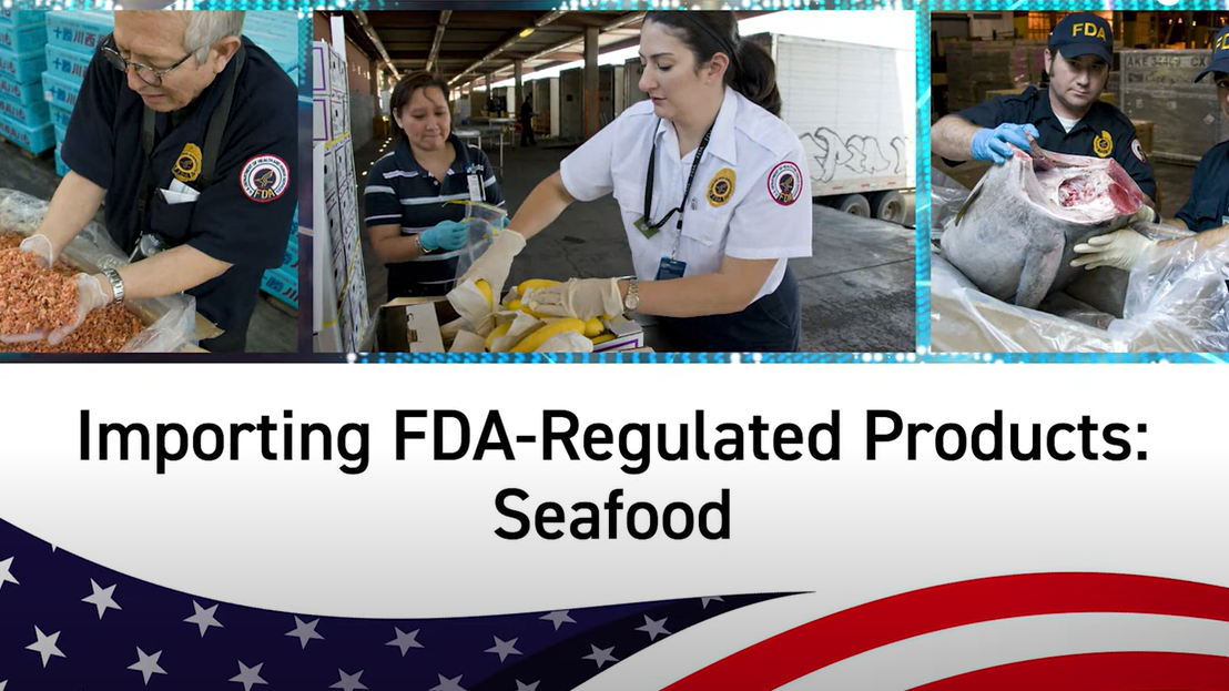 Intro screen of Importing Seafood video