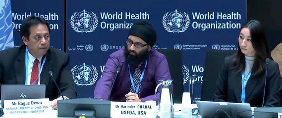 Participants at Informal Markets Session