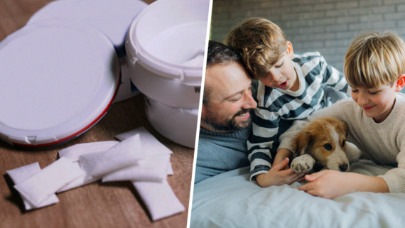 Nicotine pouches; man with children and dog.
