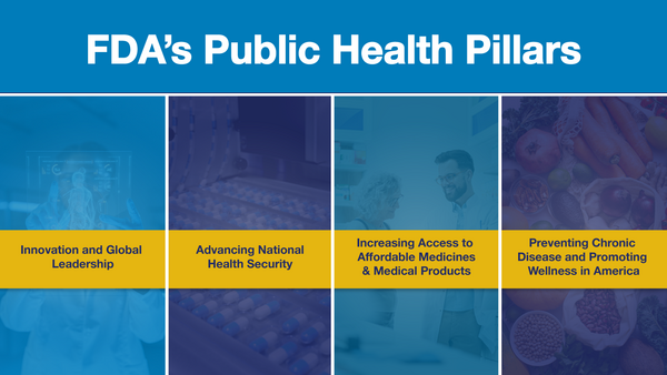 FDA Four Pillars of Health