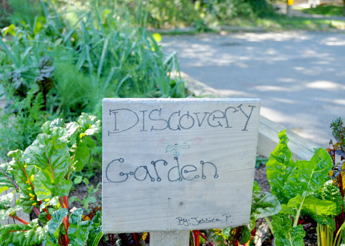 Discovery Garden