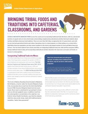 Traditional Foods Fact Sheet
