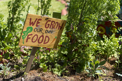 Garden with sign that reads we grow our own food