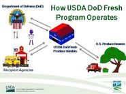 How USDA DoD Fresh Program Operates