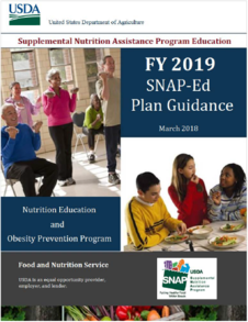 Cover of FY2019 Guidance
