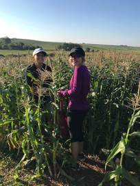 Girls in corn field