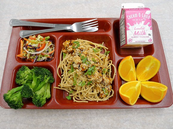 School lunch tray: Teriyaki Chicken over Noodles