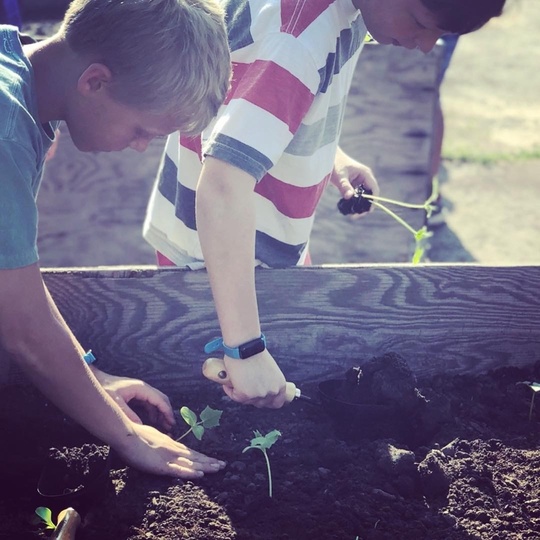 Boys plant vegetables in raised garden beds