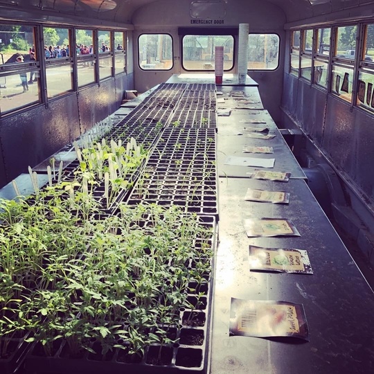 Image of an inside of a school bus that has been transformed into a mobile garden