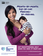 WIC Breastfeeding Support Posters