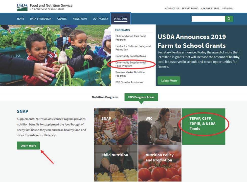 Website Overview Image 