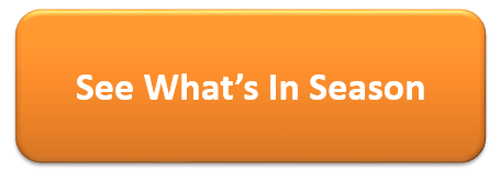 See what's in season orange button