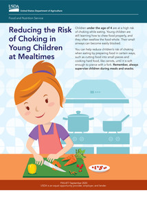 Cover of Reducing the Risk of Choking Young Children at Mealtimes Tip Sheet