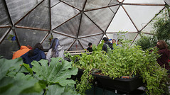 Greenhouse