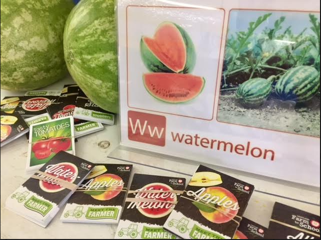 Photo of Watermelon Display