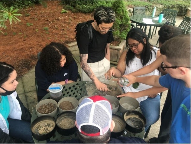 Photo of students learning about seeds 