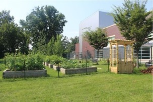 photo of school raised garden beds
