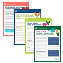 collage of updated OCFS factsheets