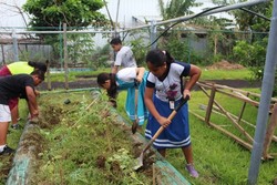 Farm to school grants in Indian Country