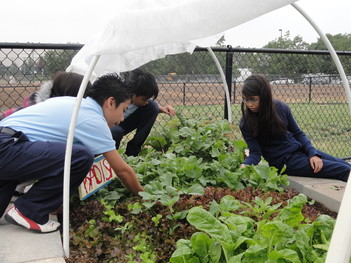 MPRO Farm to School