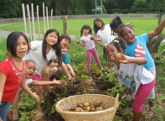 Children harvesting produce from the garden and putting it in baskets