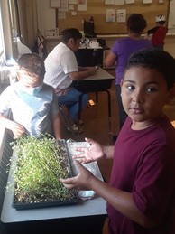 Little boy showing off the herbs that the students are growing in the classroom