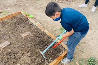 Child working the soil in the garden