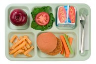 School Lunch Tray