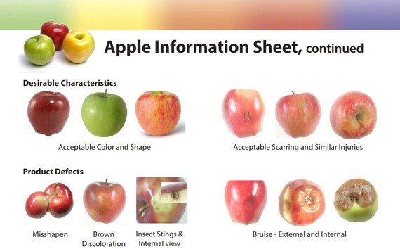 Apple Information Sheet