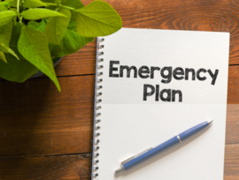 Emergency Plans for Families
