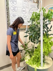 Student standing next to indoor aeroponic lettuce, herbs, and kale tower 