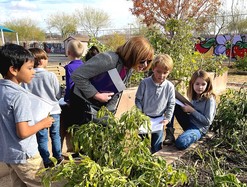 Administrator Long with students in school garden 