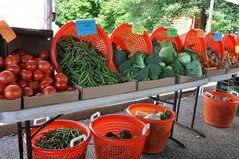 Broccoli, tomatoes and green beans in red bins at an outdoor farmers market stand