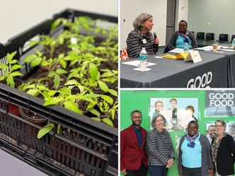 A compilation of photos of Deputy Under Secretary Dean speaking at a nutrition and urban agriculture conference. 