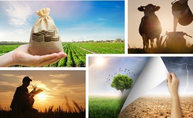 A collage of photos; someone pouring a cow's milk into a jug, a hand holding a small bag of crops, and a farmer in a field during sunset. 