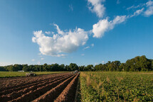 Farm field with blue cloudy sky